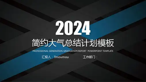 2024简约大气工作计划总结通用模板