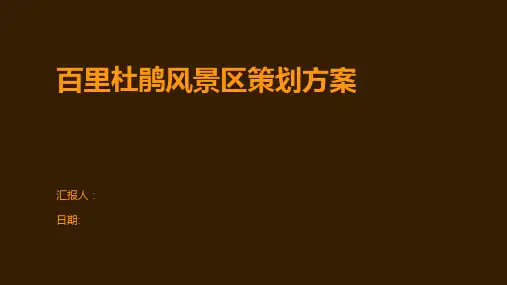 百里杜鹃风景区策划方案