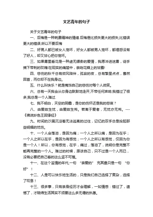 关于文艺青年的句子