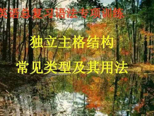高考英语独立主格详细讲解2