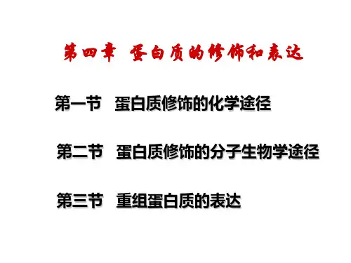 第四章 蛋白质的修饰和表达