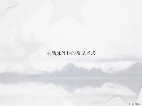 主动脉外科的常见术式2讲课文档