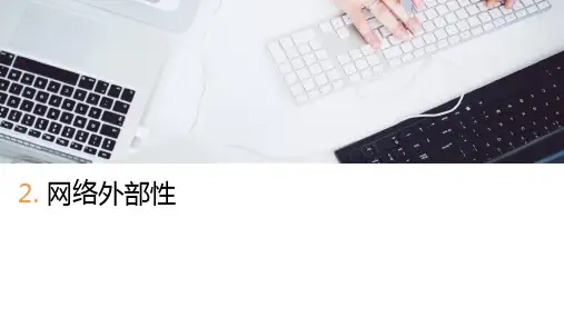 第二章  网络外部性  网络经济学PPT课件