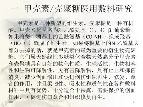 壳聚糖ppt课件