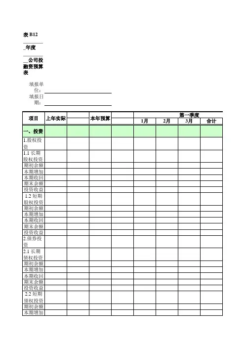 投融资预算表