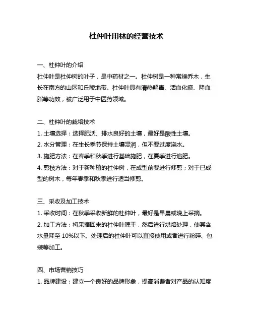 杜仲叶用林的经营技术