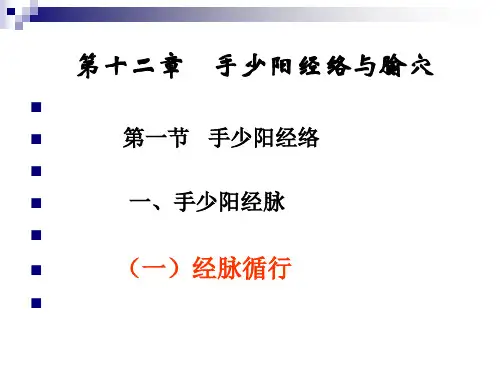 三 焦 经分析课件