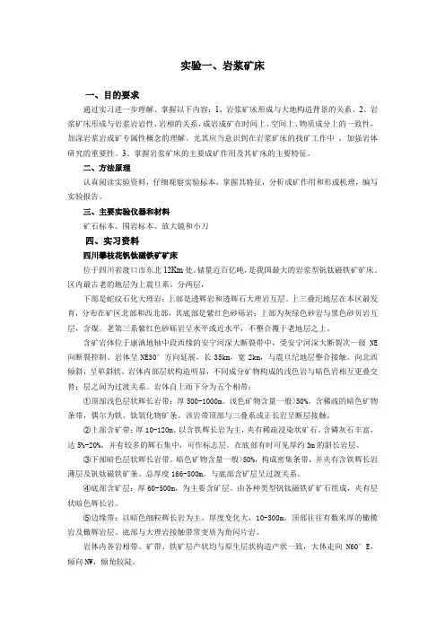矿床学实验一  岩浆矿床