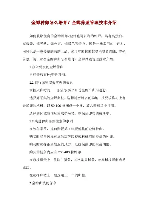 金蝉种卵怎么培育？金蝉养殖管理技术介绍