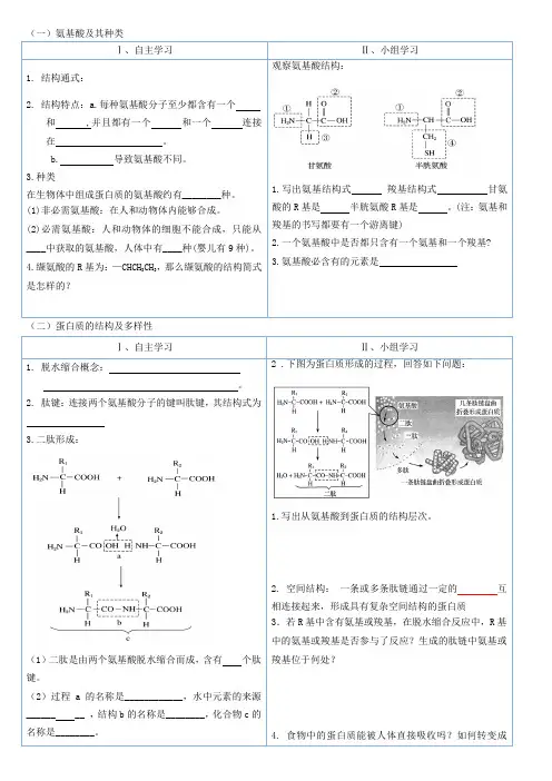 氨基酸及其种类