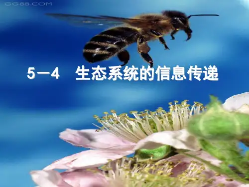 人教版高中生物必修三生态系统的信息传递课件