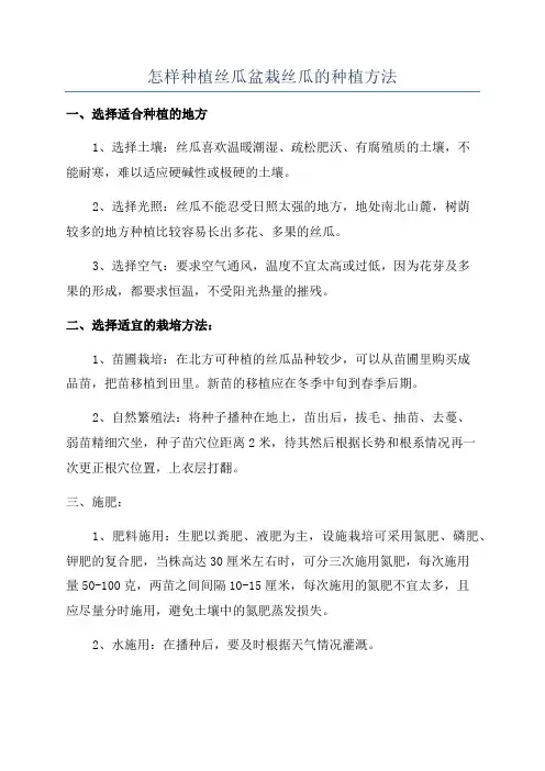 怎样种植丝瓜盆栽丝瓜的种植方法