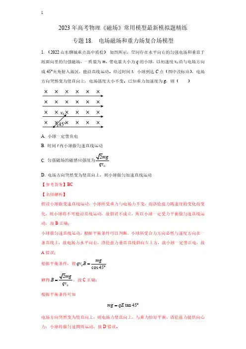 专题18  电场磁场和重力场复合场模型-2023年高考物理磁场常用模型精练(解析版)