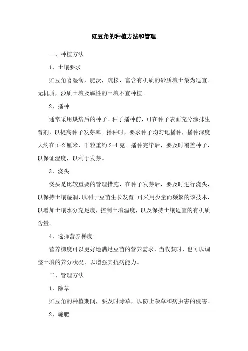豇豆角的种植方法和管理