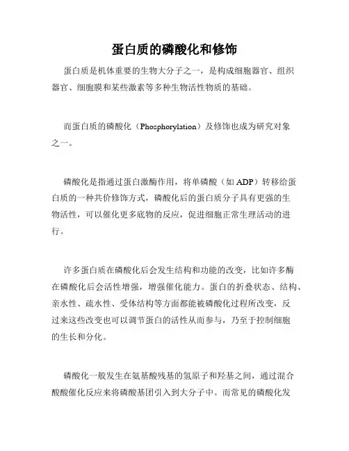 蛋白质的磷酸化和修饰