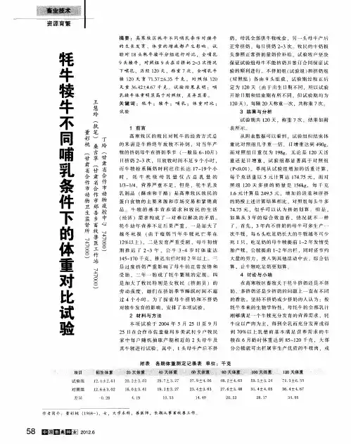 牦牛犊牛不同哺乳条件下的体重对比试验