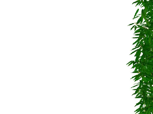 官兵的心理健康及调适PPT课件