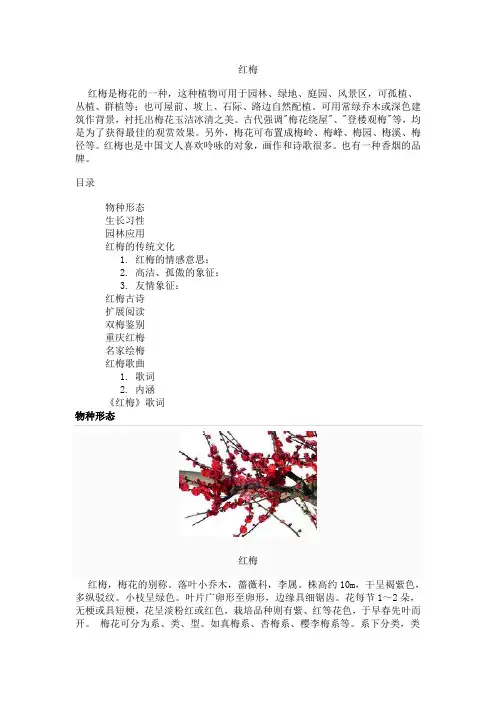 红梅