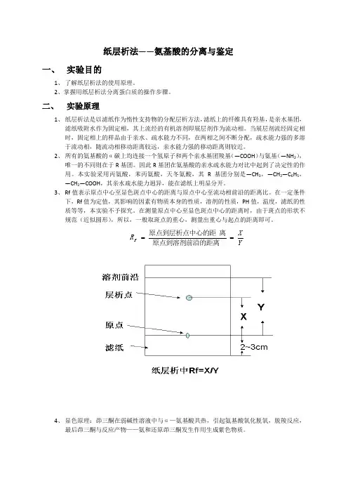 纸层析法—氨基酸的分离与鉴定