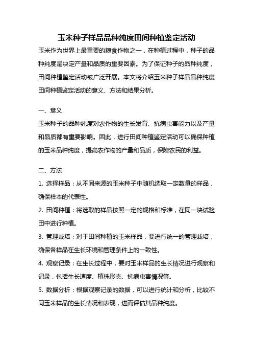 玉米种子样品品种纯度田间种植鉴定活动