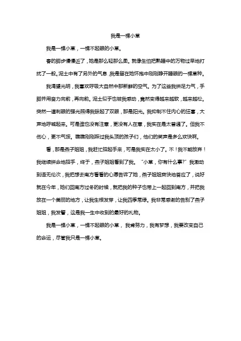 我是一棵小草