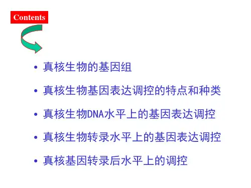 真核基因表达调控特点ppt课件