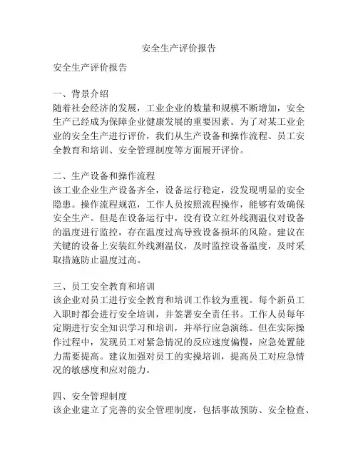安全生产评价报告