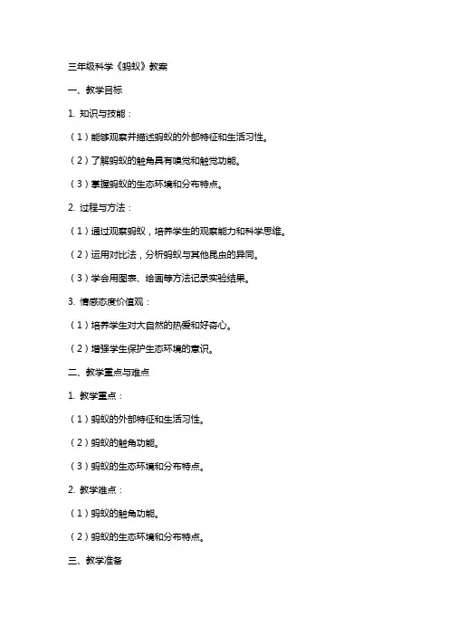 三年级科学《蚂蚁》教案