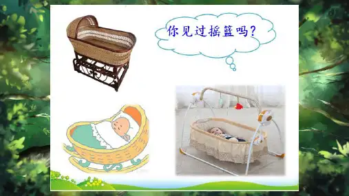 《祖先的摇篮》ppt课件