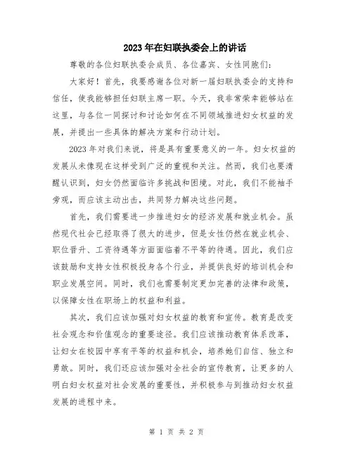 2023年在妇联执委会上的讲话