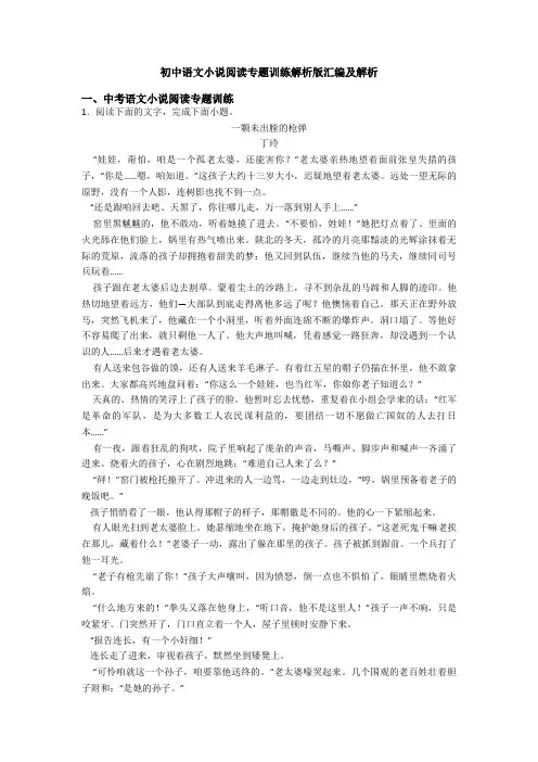 初中语文小说阅读专题训练解析版汇编及解析