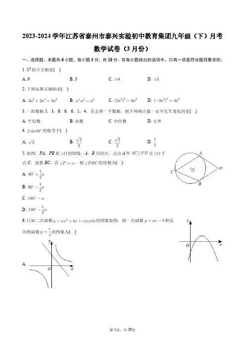 2023-2024学年江苏省泰州市泰兴实验初中教育集团九年级(下)月考数学试卷(3月份)+答案解析