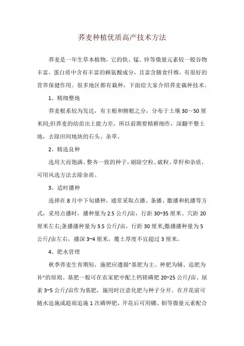 荞麦种植优质高产技术方法