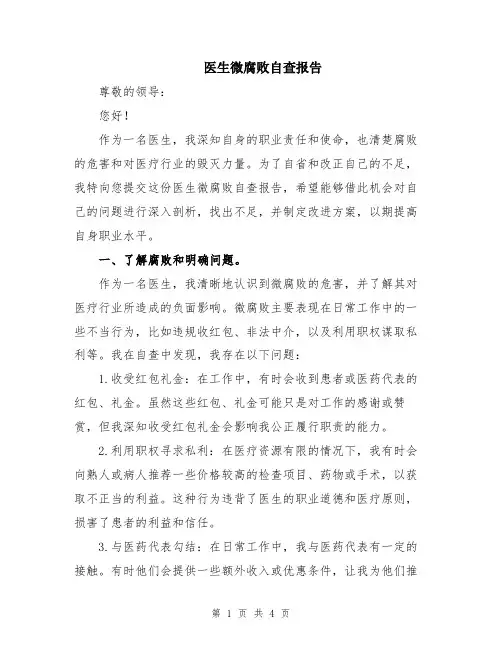 医生微腐败自查报告