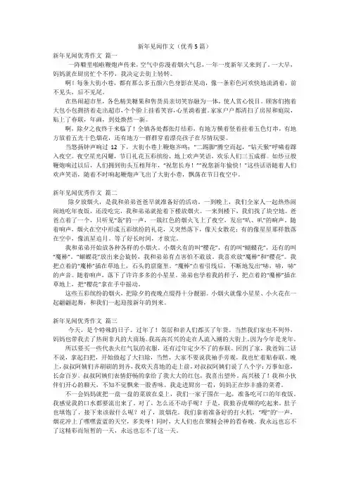 新年见闻作文(优秀5篇)