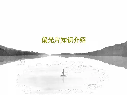 偏光片知识介绍共37页
