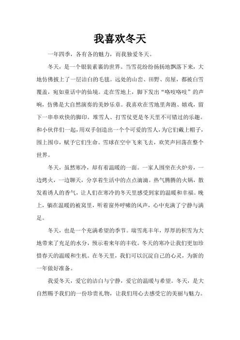 我喜欢冬天