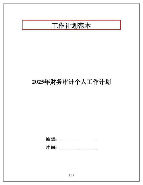 2025年财务审计个人工作计划
