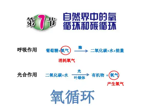 自然界中的氧循环和碳循环(PPT课件(初中科学)12张全)