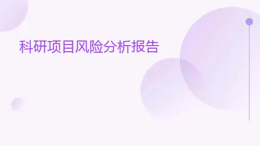 科研项目风险分析报告