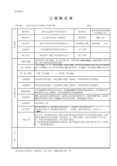 统表C01-1工程概况表