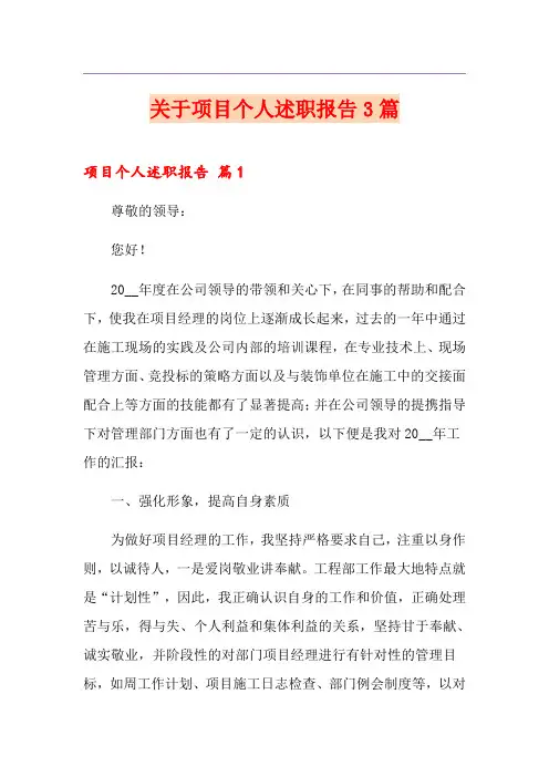 关于项目个人述职报告3篇