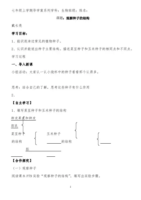 种子植物学案 【完整版】