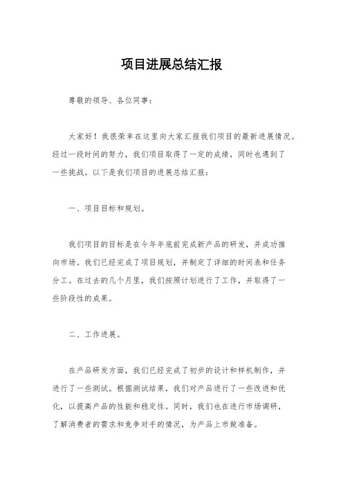 项目进展总结汇报