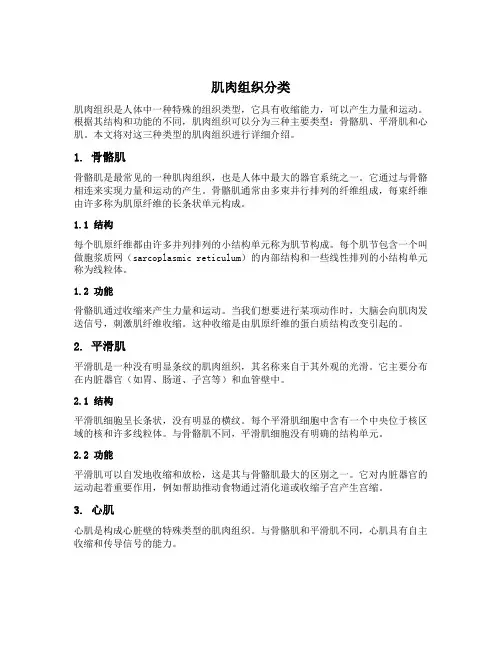 肌肉组织分类