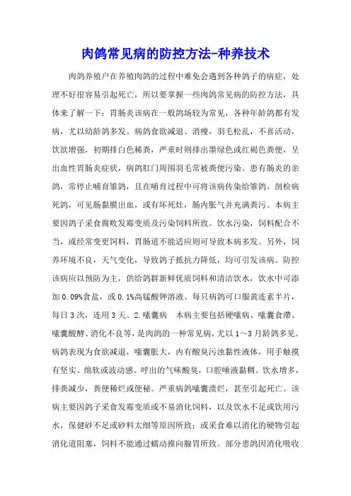 肉鸽常见病的防控方法 - 种养技术