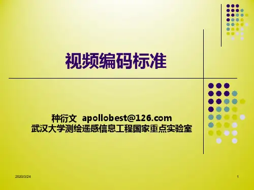 视频处理与通信-视频编码标准PPT课件