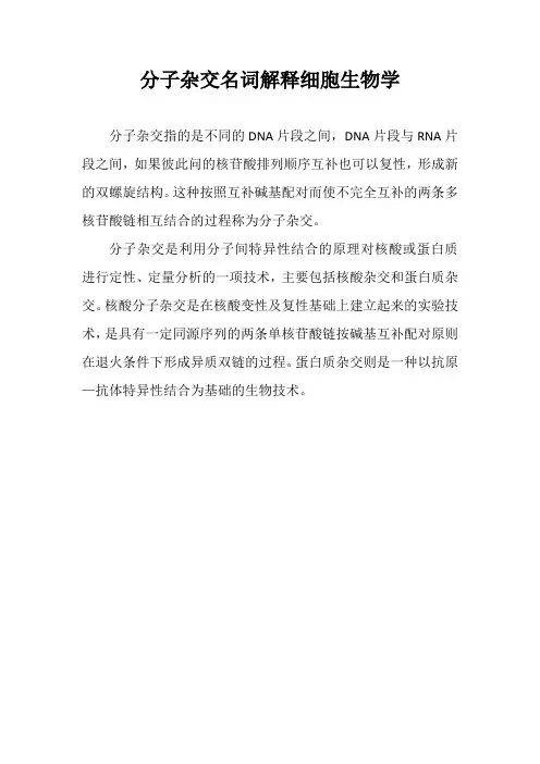 分子杂交名词解释细胞生物学
