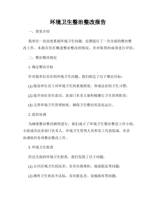 环境卫生整治整改报告