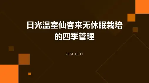 日光温室仙客来无休眠栽培的四季管理